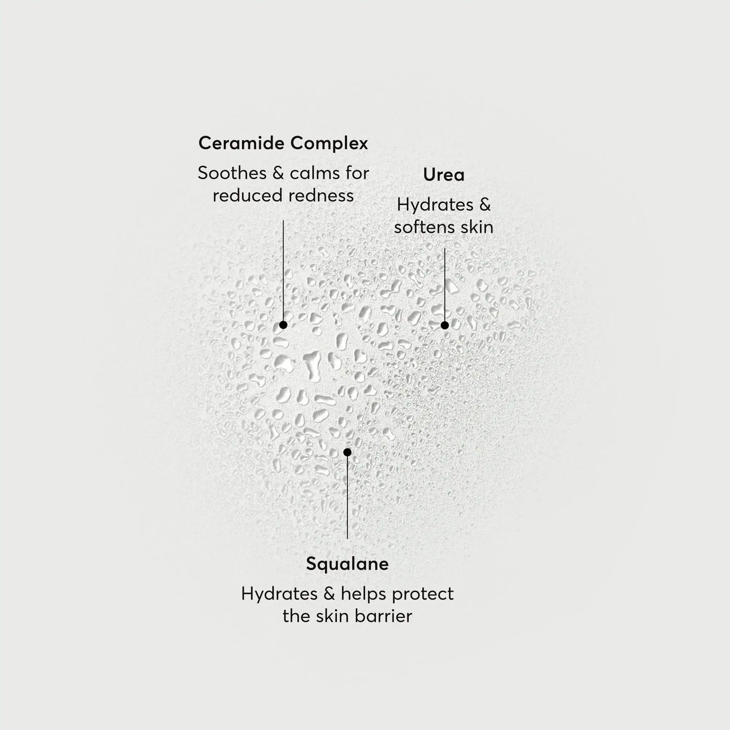 barrier-bounce-bi-phase-mist-p6 NATR-10167-Alt-Images-Barrier-Bounce-Bi-Phase-Toner-Mist_01.webp