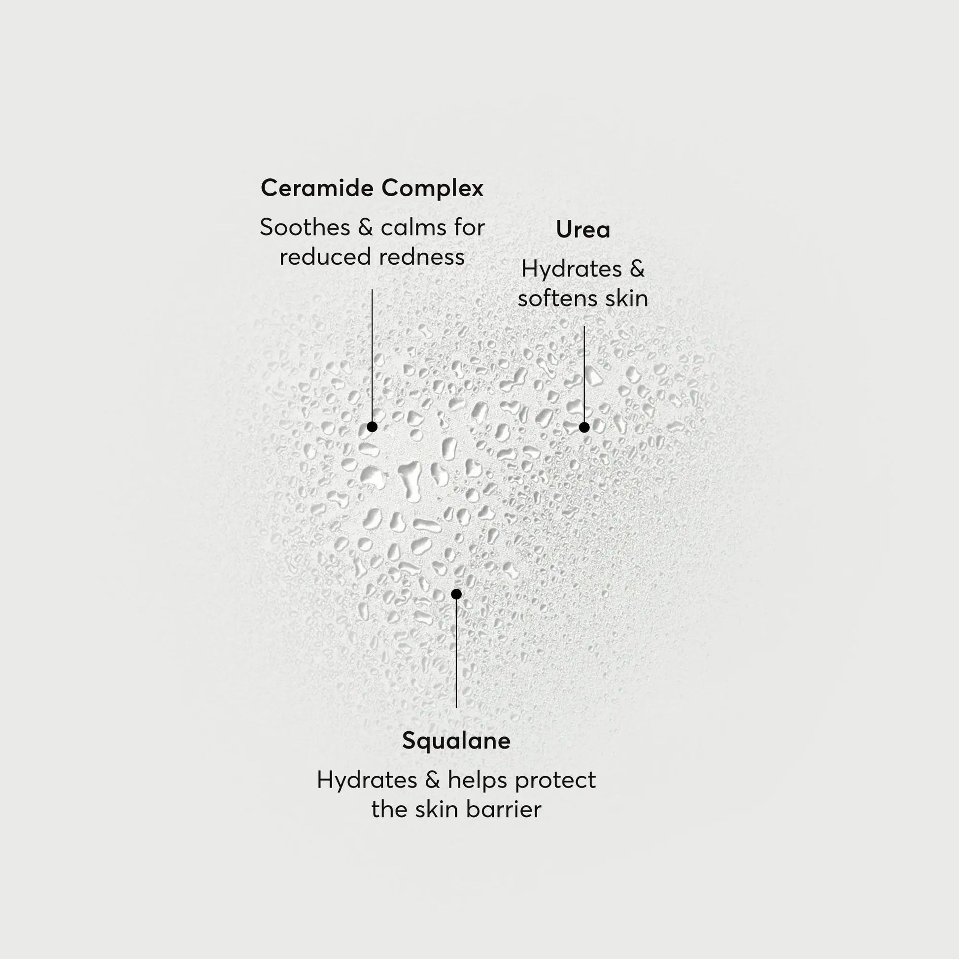 barrier-bounce-bi-phase-mist-p6 NATR-10167-Alt-Images-Barrier-Bounce-Bi-Phase-Toner-Mist_01.webp