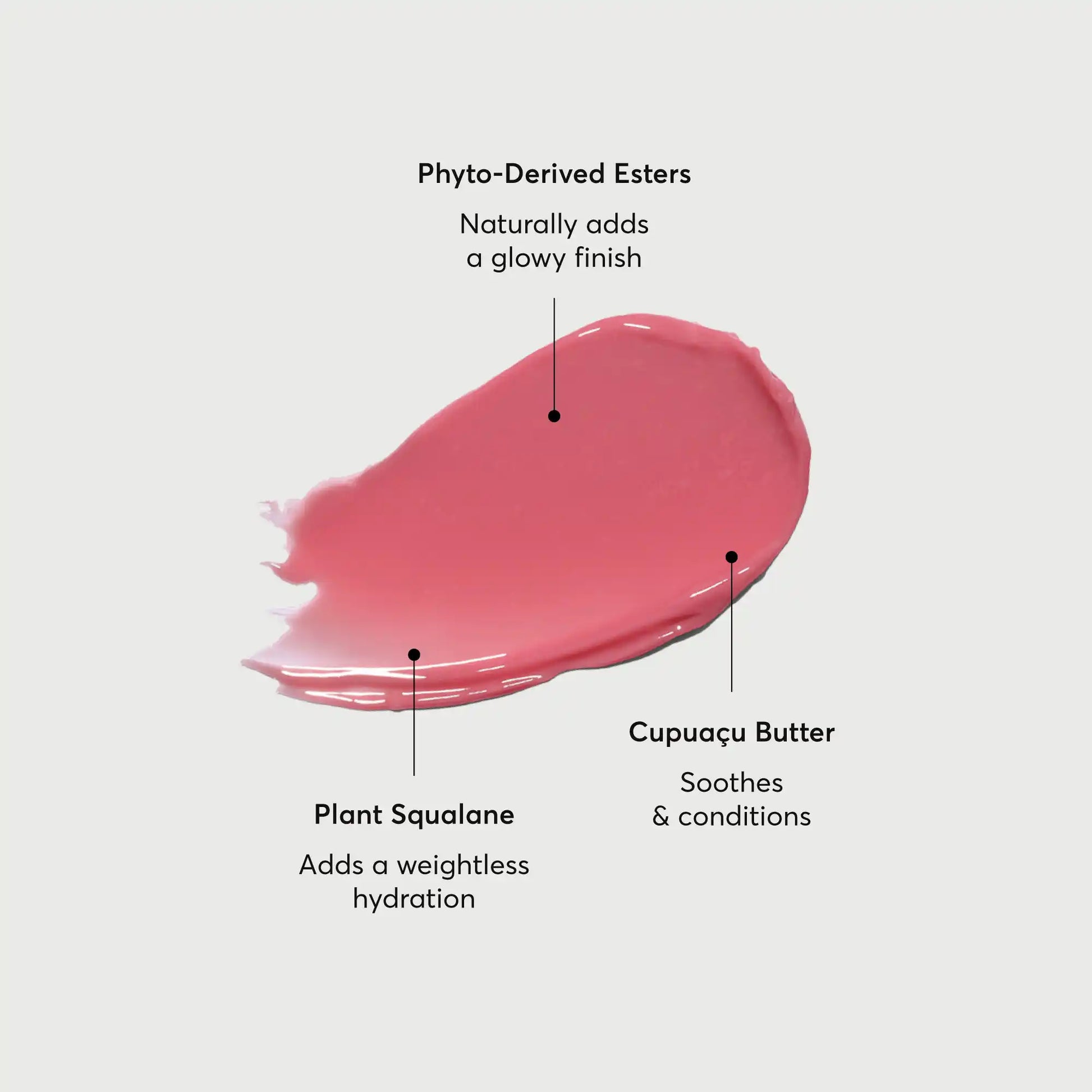 phyto-glow-lip-balm-petal-d8 NATR-60067-Alt-Images-Phyto-Glow-Lip-Balm-Petal-01.webp