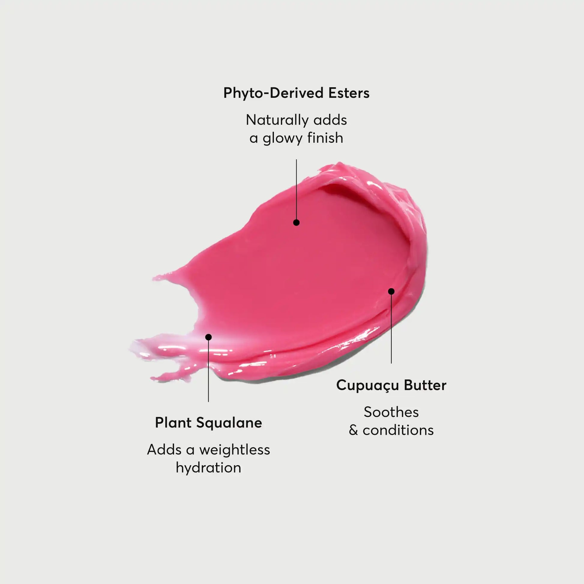 phyto-glow-lip-balm-camellia-v3 NATR-60075-Alt-Images-Phyto-Glow-Lip-Balm-Camellia-01.webp